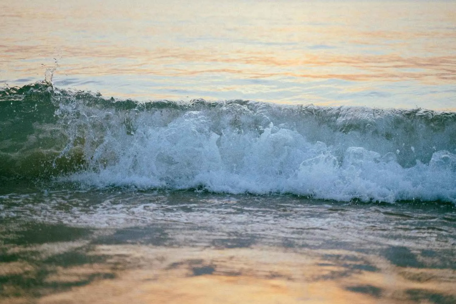 (c) Ilustrasi Pexels