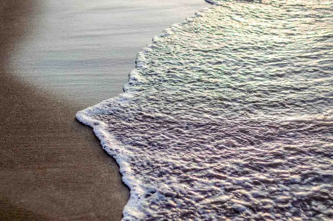 (c) Ilustrasi Pexels