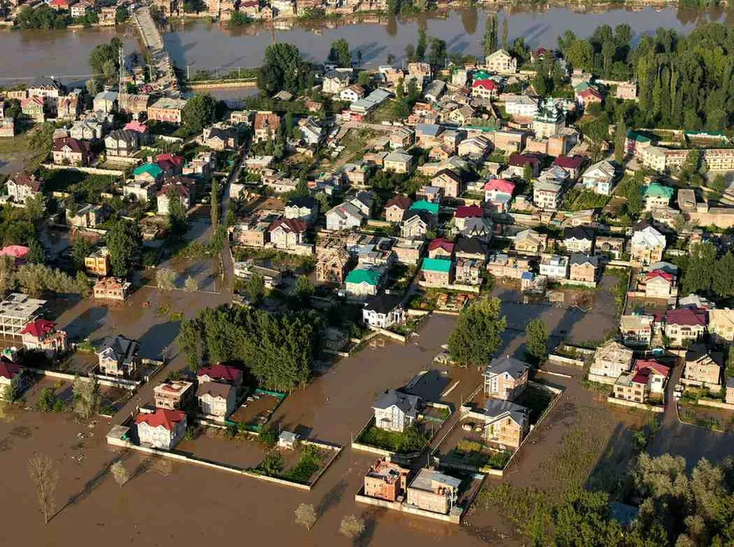 (c) Ilustrasi Pexels