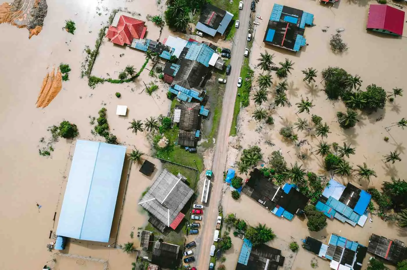 (c) Ilustrasi Pexels