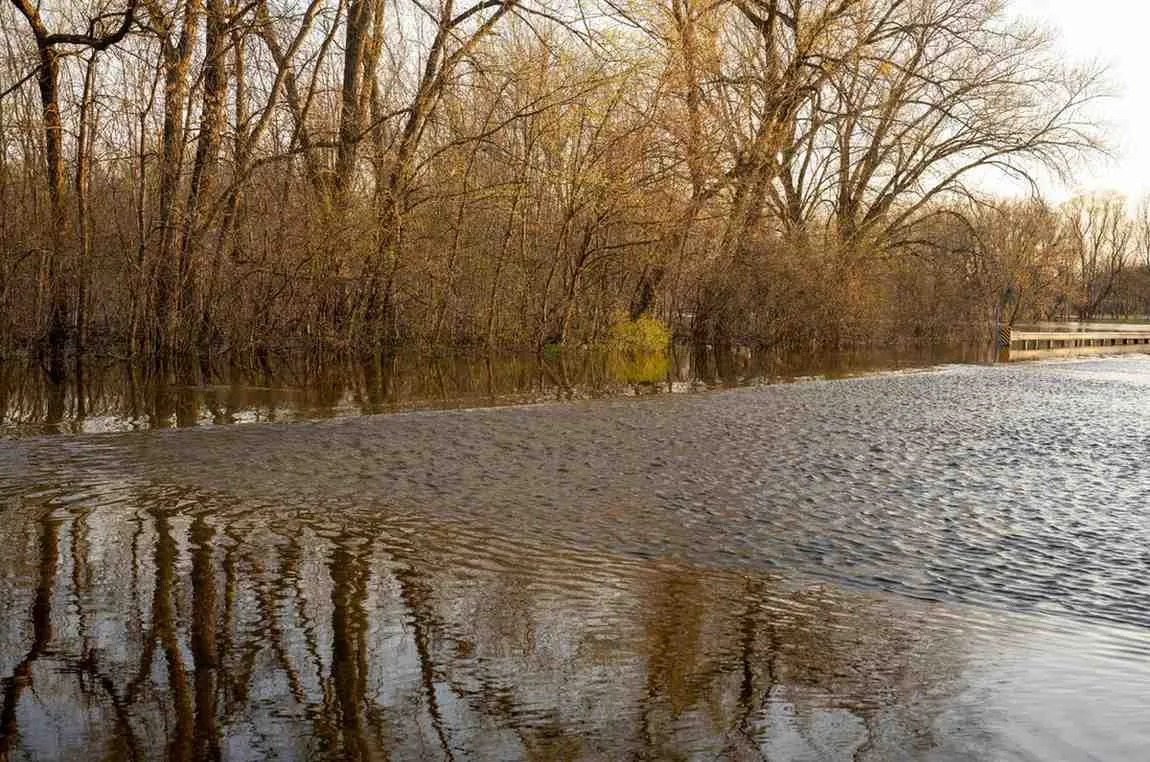 (c) Ilustrasi Pexels