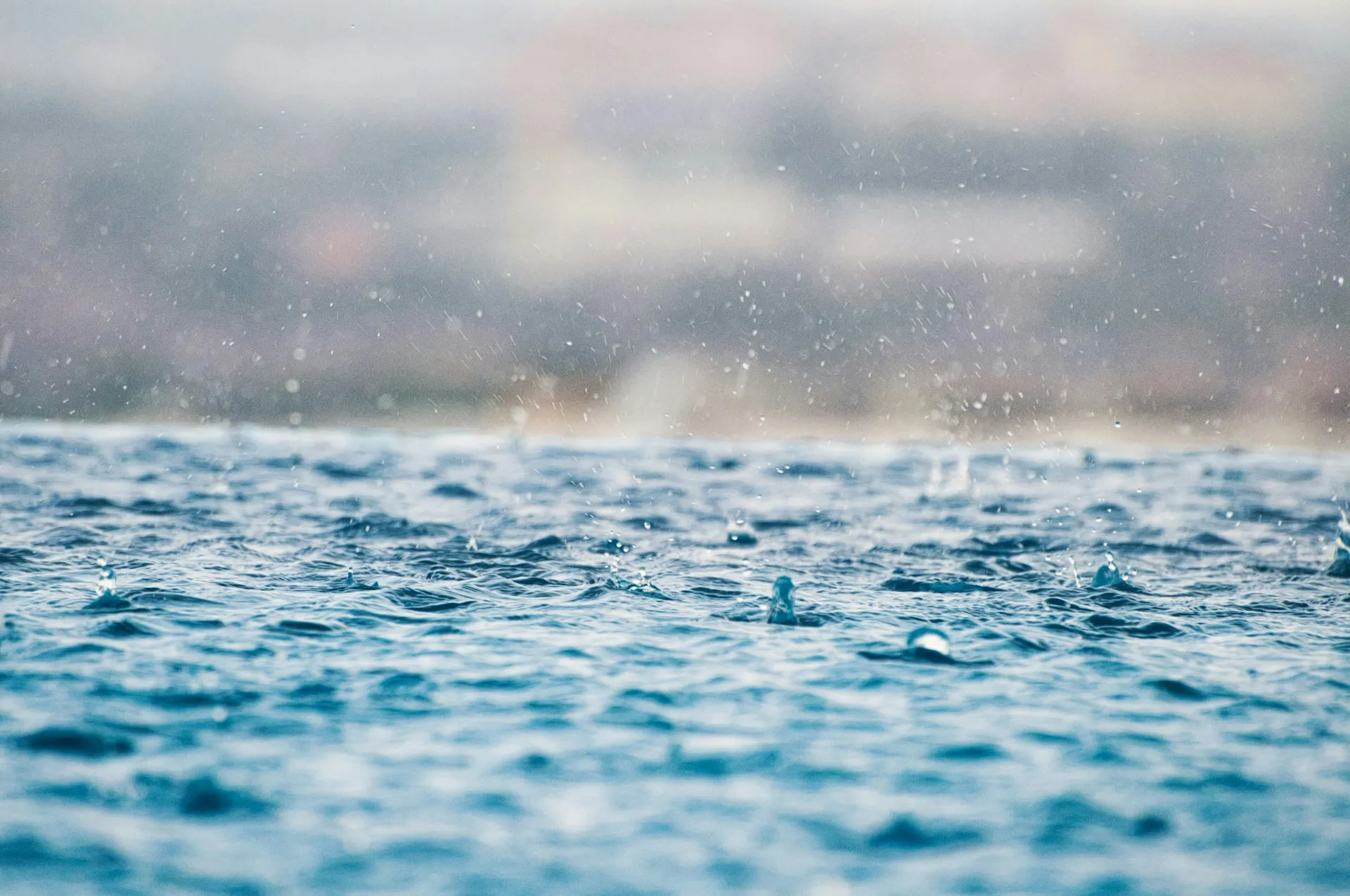 Air hujan jernih (credit: Unsplash)