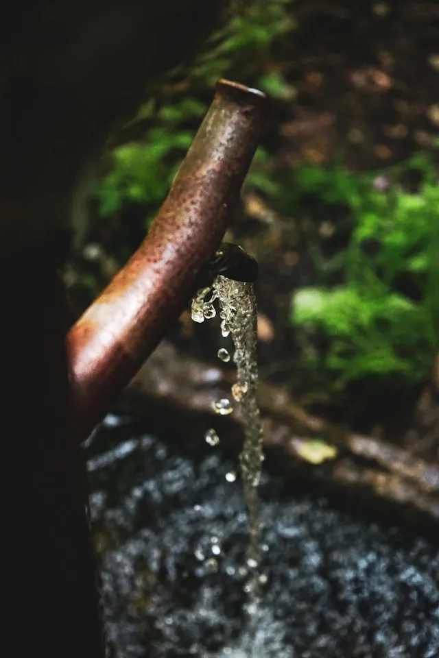 Cara Bijak Menyikapi Mimpi Berwudhu dengan Air Jernih (c) unsplash.com