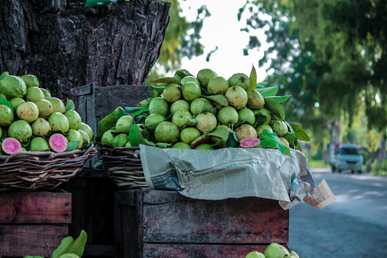 Arti Mimpi Buah Jambu Air Berdasarkan Kondisi Buah (credit:unsplash.com/id/@ossamasafi)