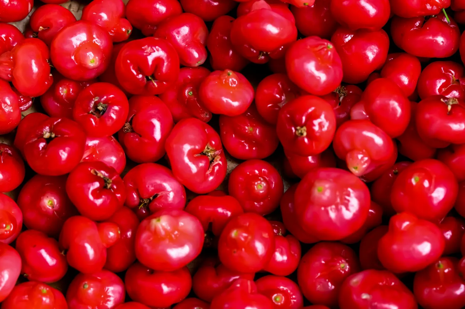 Perspektif Psikologi dan Budaya dalam Mimpi Buah Jambu Air (credit:unsplash.com/id/@vdphotography)