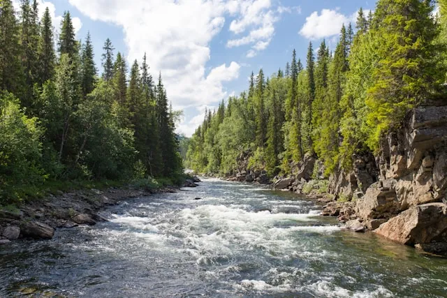 Tafsir Mimpi Cuci Muka di Sungai Air Jernih Menurut Primbon Jawa dan Islam (c) unsplash.com