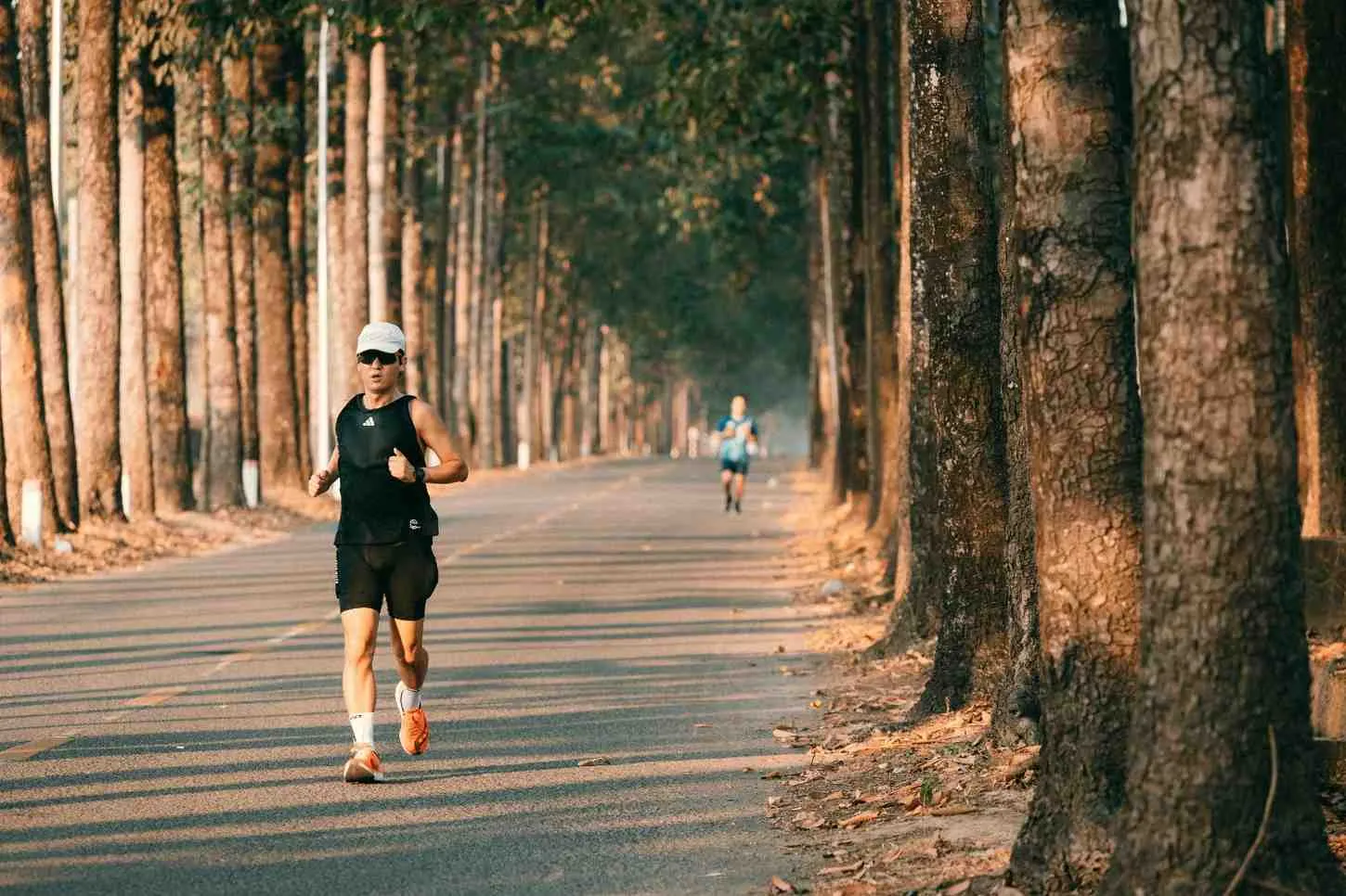 (c) Ilustrasi Pexels