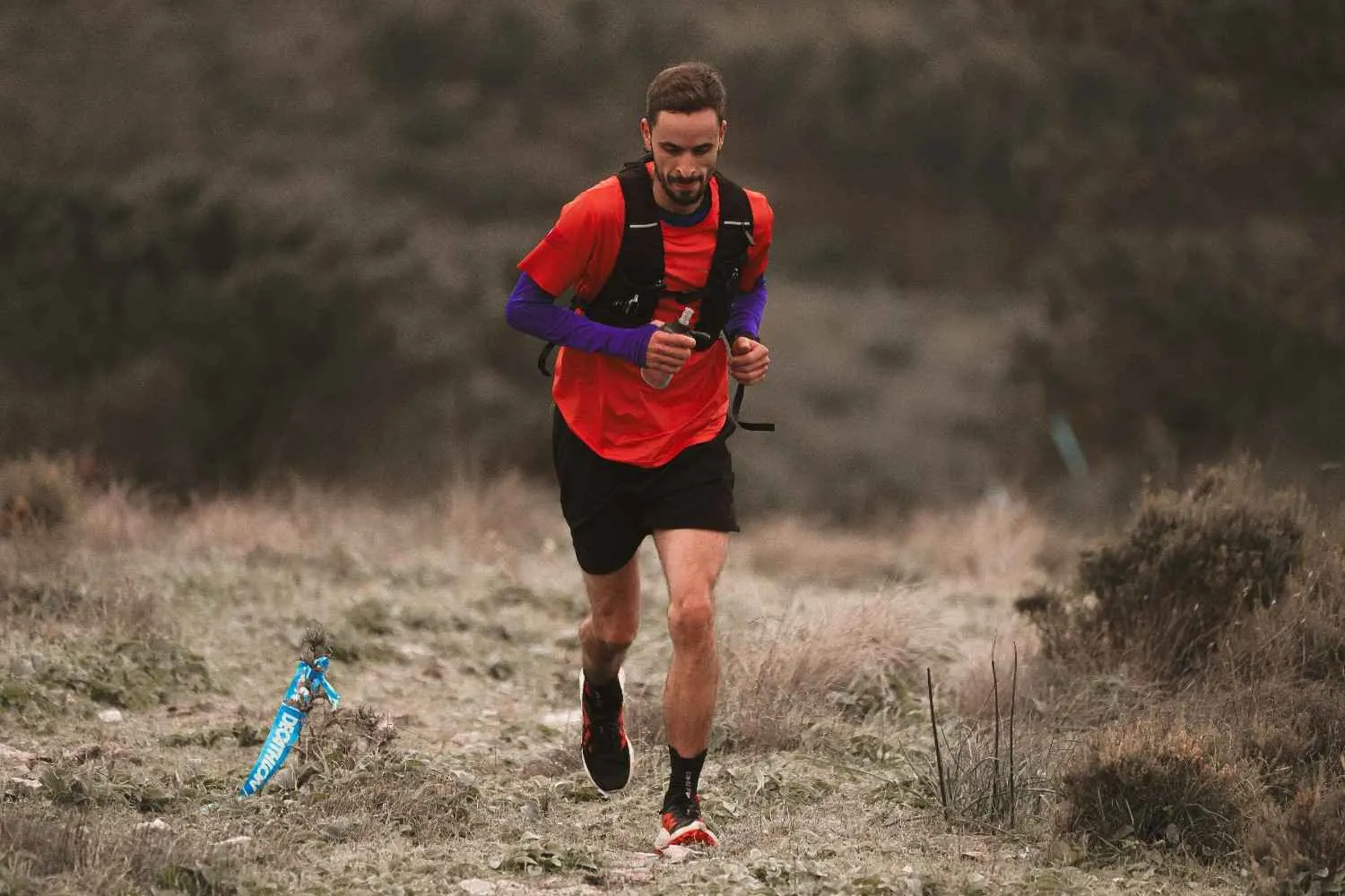 (c) Ilustrasi Pexels