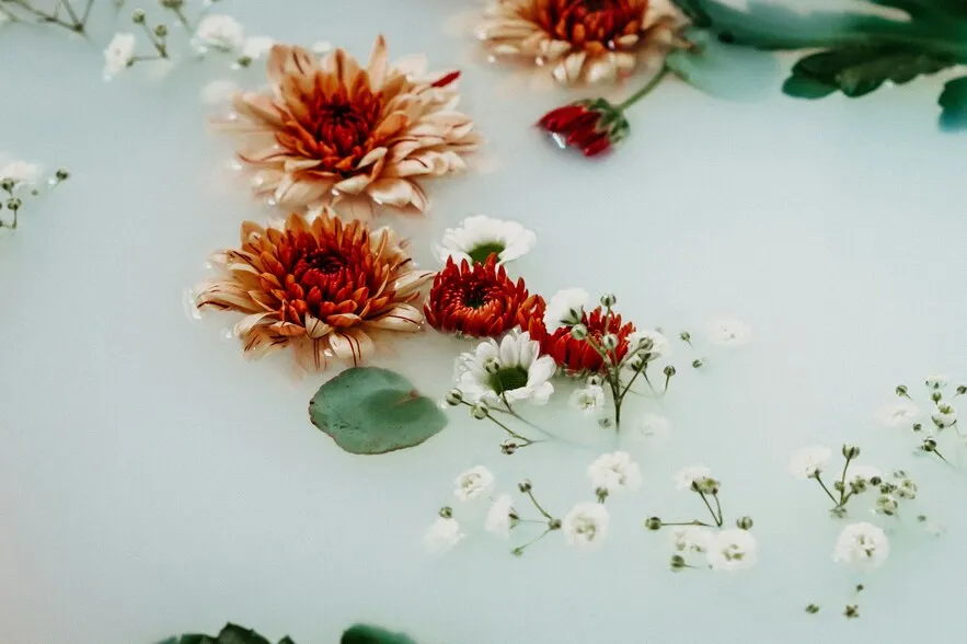 Makna Dasarnya (c) Ilustrasi by unsplash