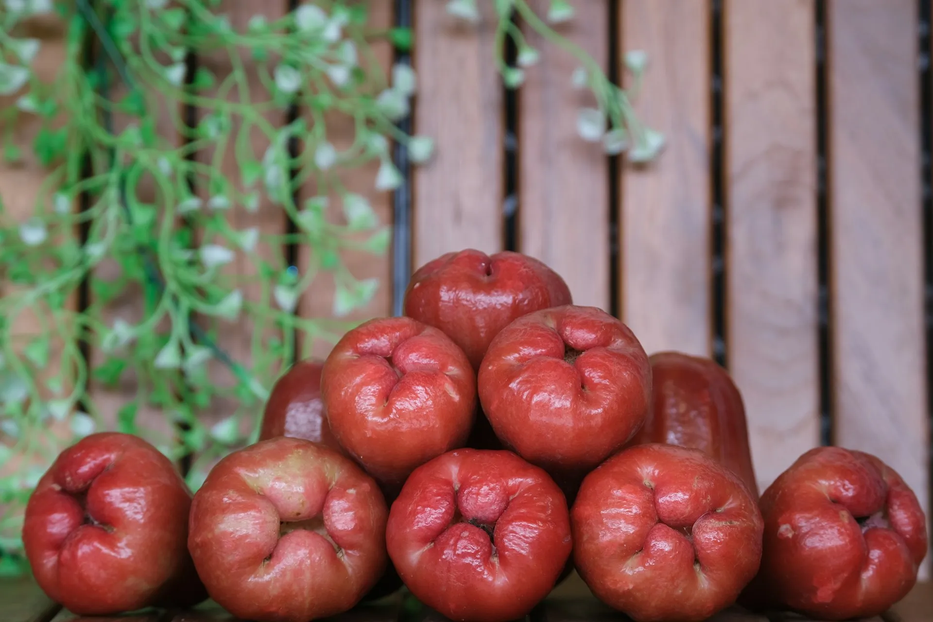 Jambu air besar (credit: Unsplash)