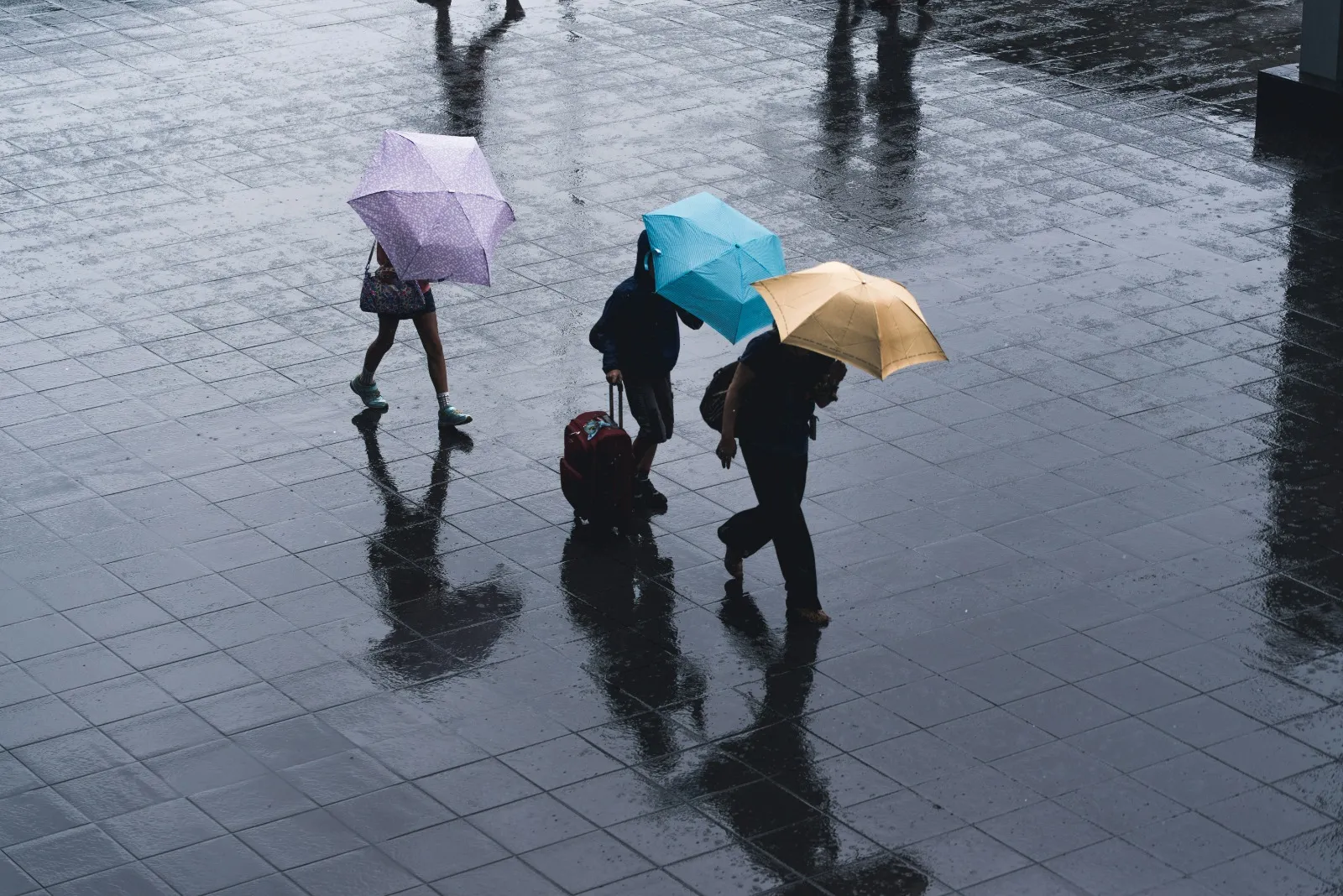 Mimpi Kebanjiran Air Hujan Menurut Para Ahli Mimpi Kebanjiran Air Hujan Menurut Para AhliMimpi Kebanjiran Air Hujan Menurut Para Ahli(credit:unsplash.com/id/@ryoji__iwata)