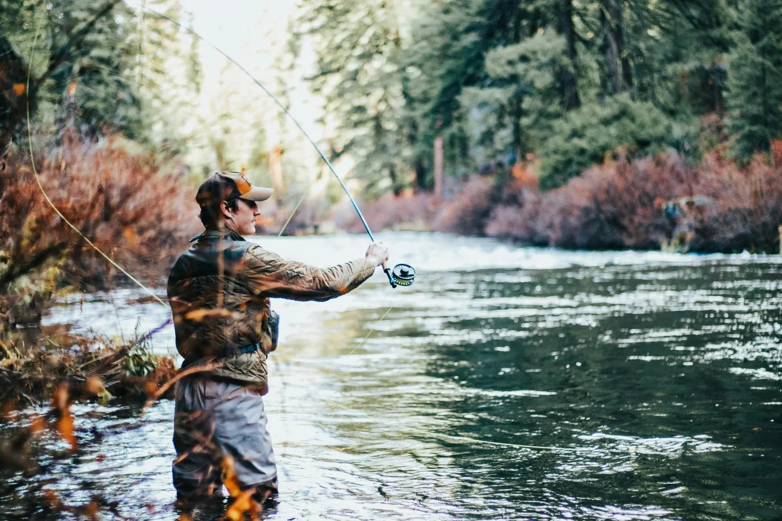 Makna Mimpi Mancing Dapat Ikan Mas dari Perspektif Psikologi Modern (credit:unsplash.com/id/@_grey_)