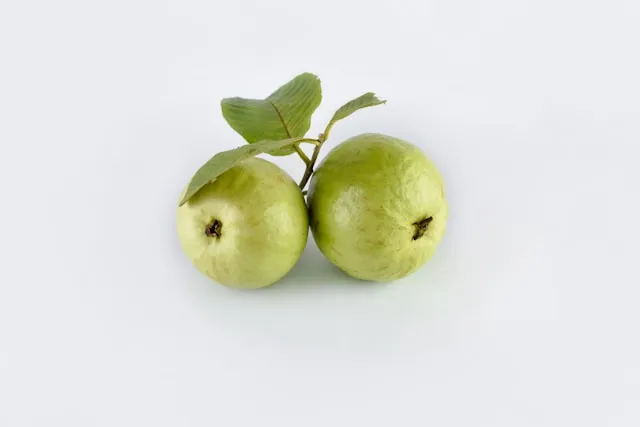 Faktor-Faktor yang Mempengaruhi Mimpi Memetik Jambu Biji (c) unsplash.com