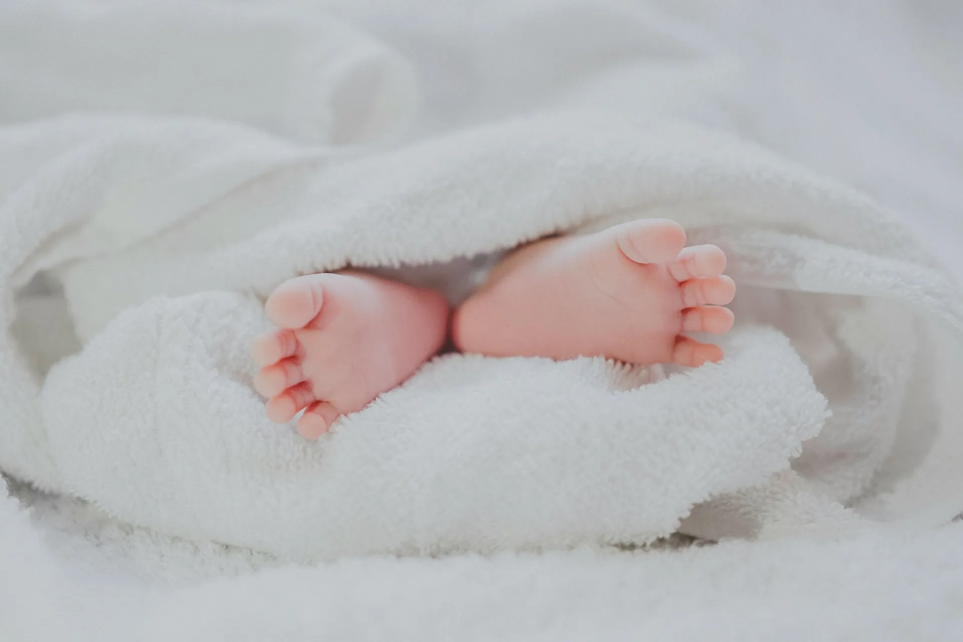 Kaki bayi (credit: Unsplash)