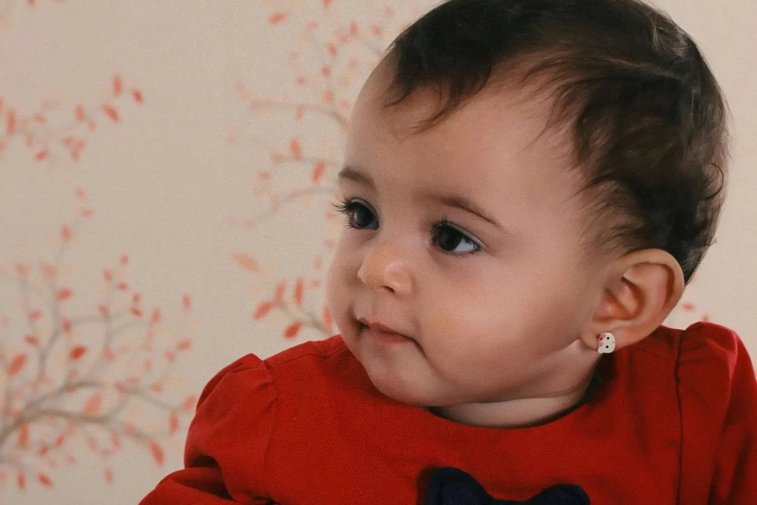 Rangkaian Nama Belakang dengan Zeline (c) Ilustrasi Pexels