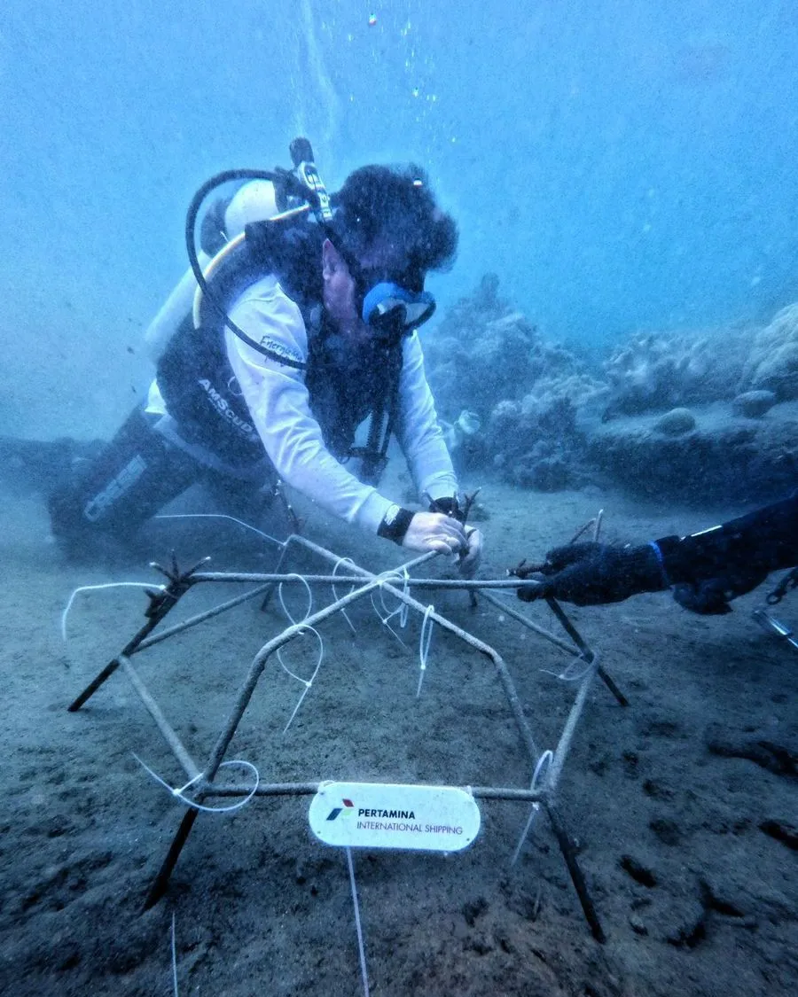 Manfaat Penanaman Terumbu Karang