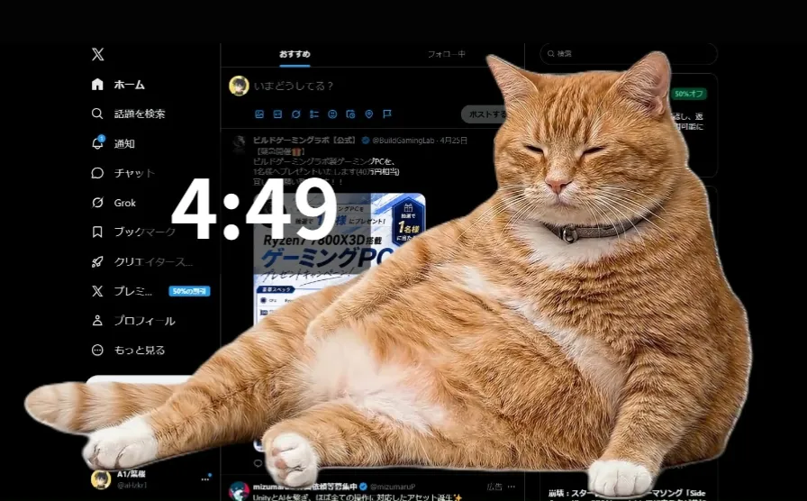 Kucing ini benar-benar menghentikan aktivitasmu (credit: X/@konekone2026)