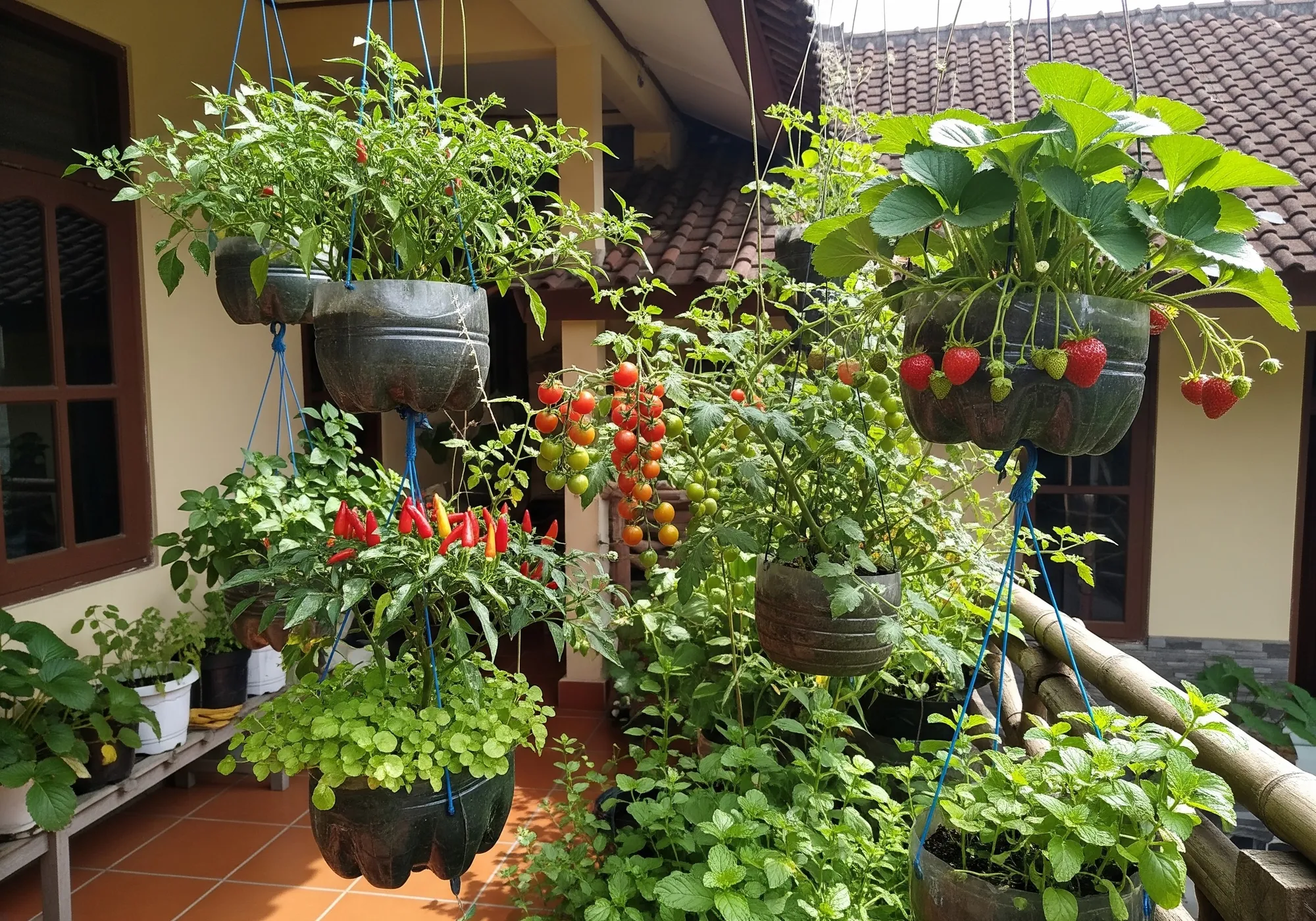 cara agar tanaman buah dalam pot tidak hanya tumbuh daun (AI generated)