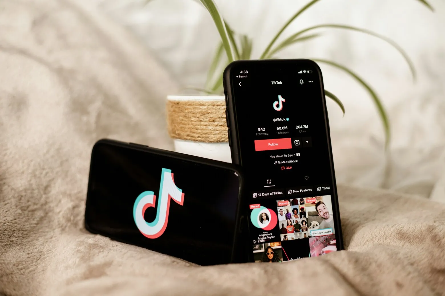 Mengenal Antarmuka Editing TikTok