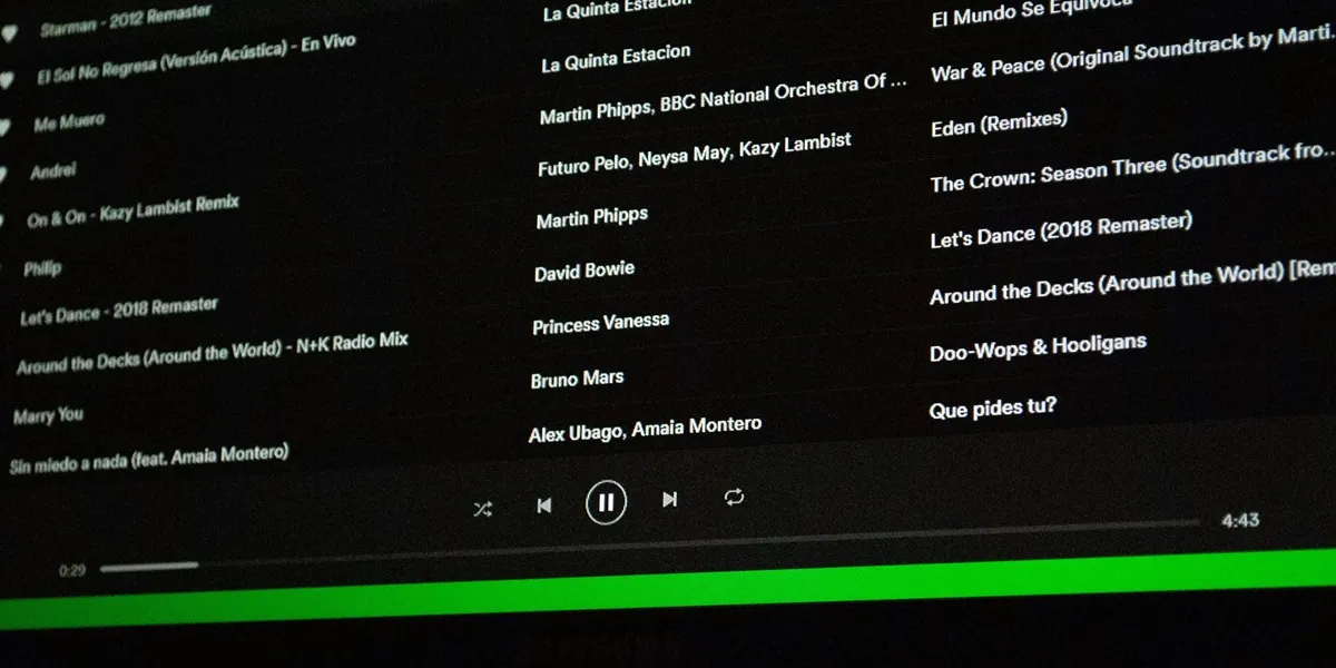 Pertanyaan Umum Seputar Penggantian Akun Spotify (credit:unsplash.com/id/@skabrera)