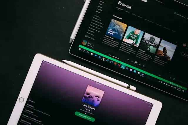 Spotify Pie Chart (c) unsplash.com
