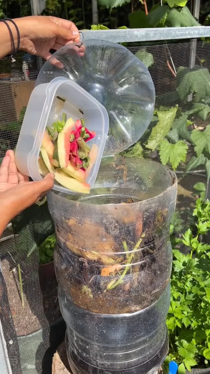 Proses Pengolahan Limbah (credit: instagram/pekarangan_hijau)