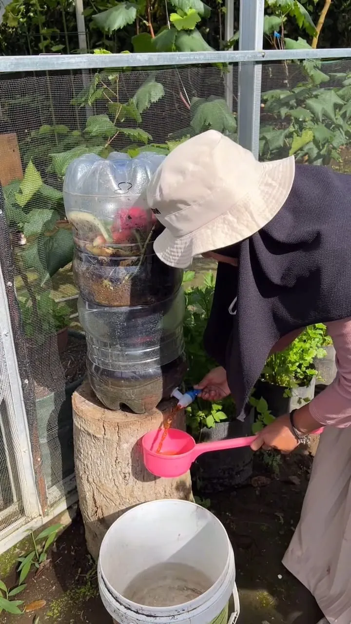 Manfaat bagi Tanaman (credit: instagram/pekarangan_hijau)