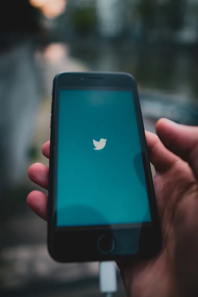 Memanfaatkan Fitur Twitter Lanjutan (c) unsplash.com