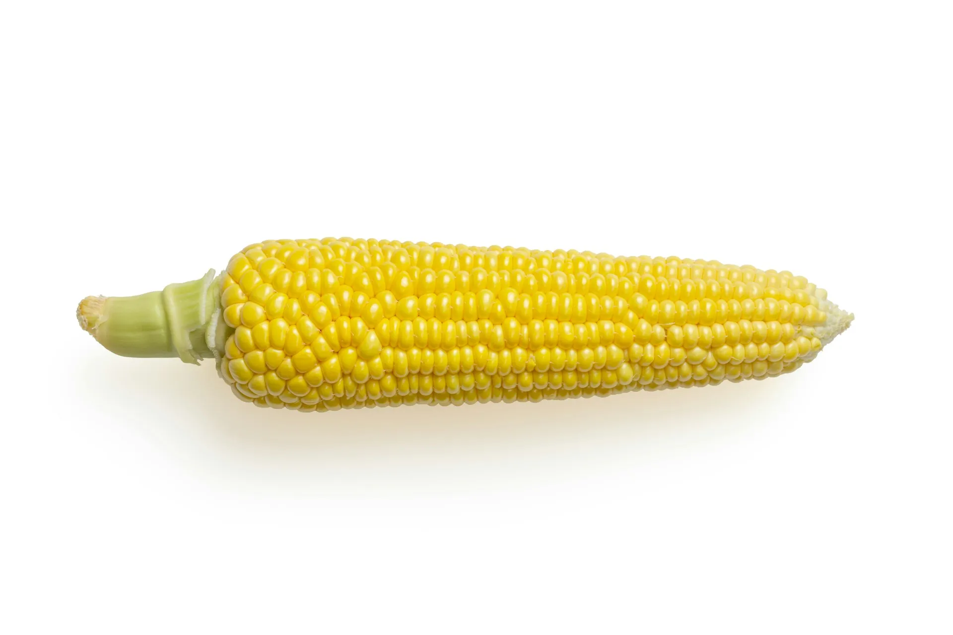 Perhatikan Kondisi Kulit Jagung (credit: unsplash)