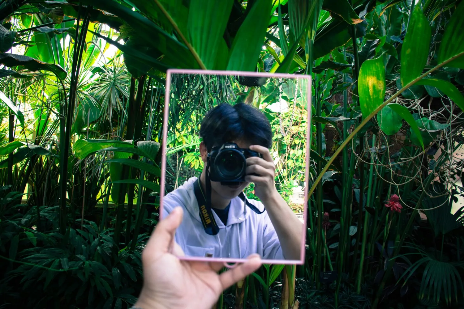 Cara Memperbaiki Foto Lama Rusak dan Berjamur dengan Metode Pengeringan Manual (credit:unsplash.com/id/@jayden_wong626)