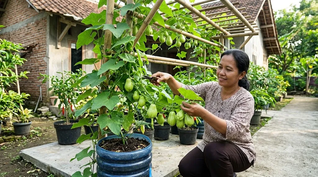 Rahasia Pemangkasan Pucuk agar Buah Tak Pernah Putus (AI Generated)