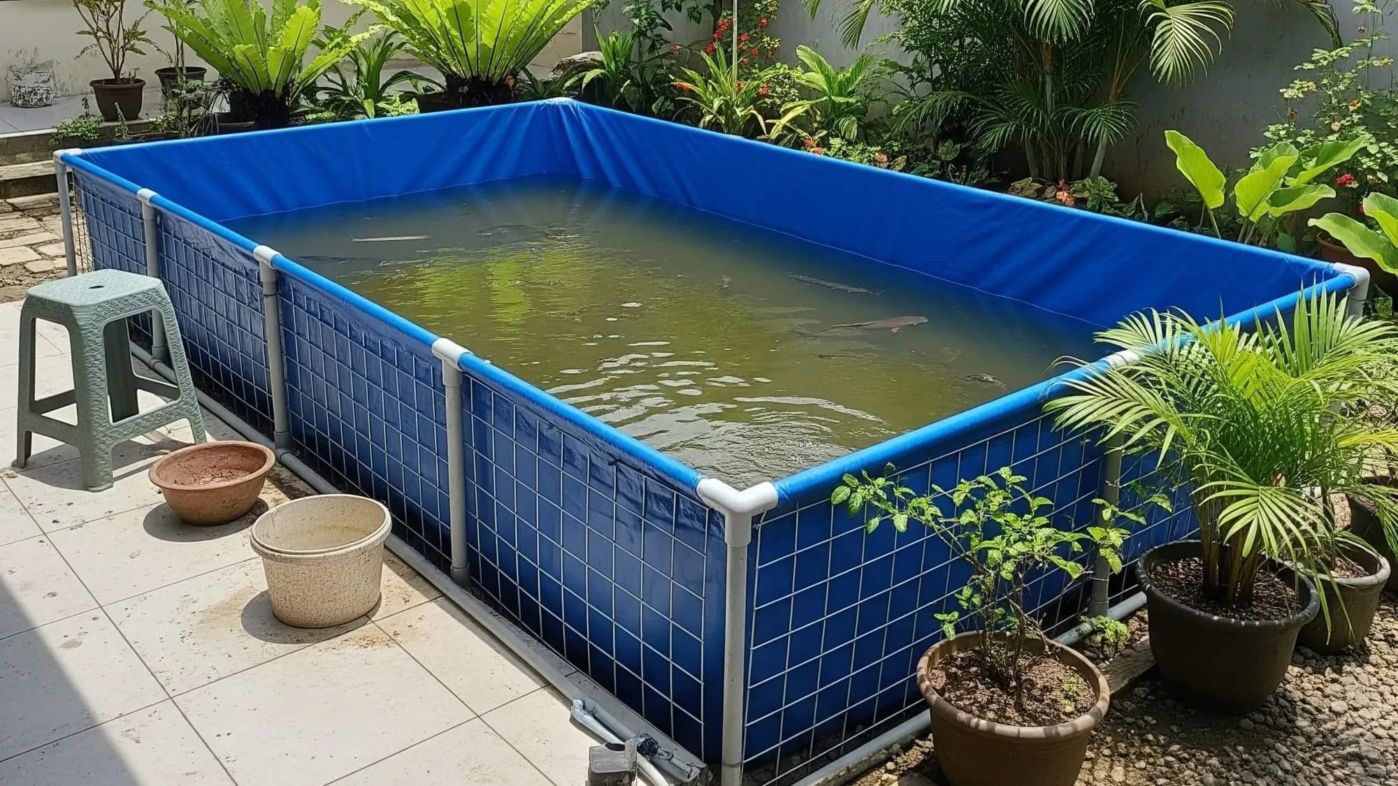 Mengatur Ketinggian Air Sesuai Umur Lele (AI Generated)