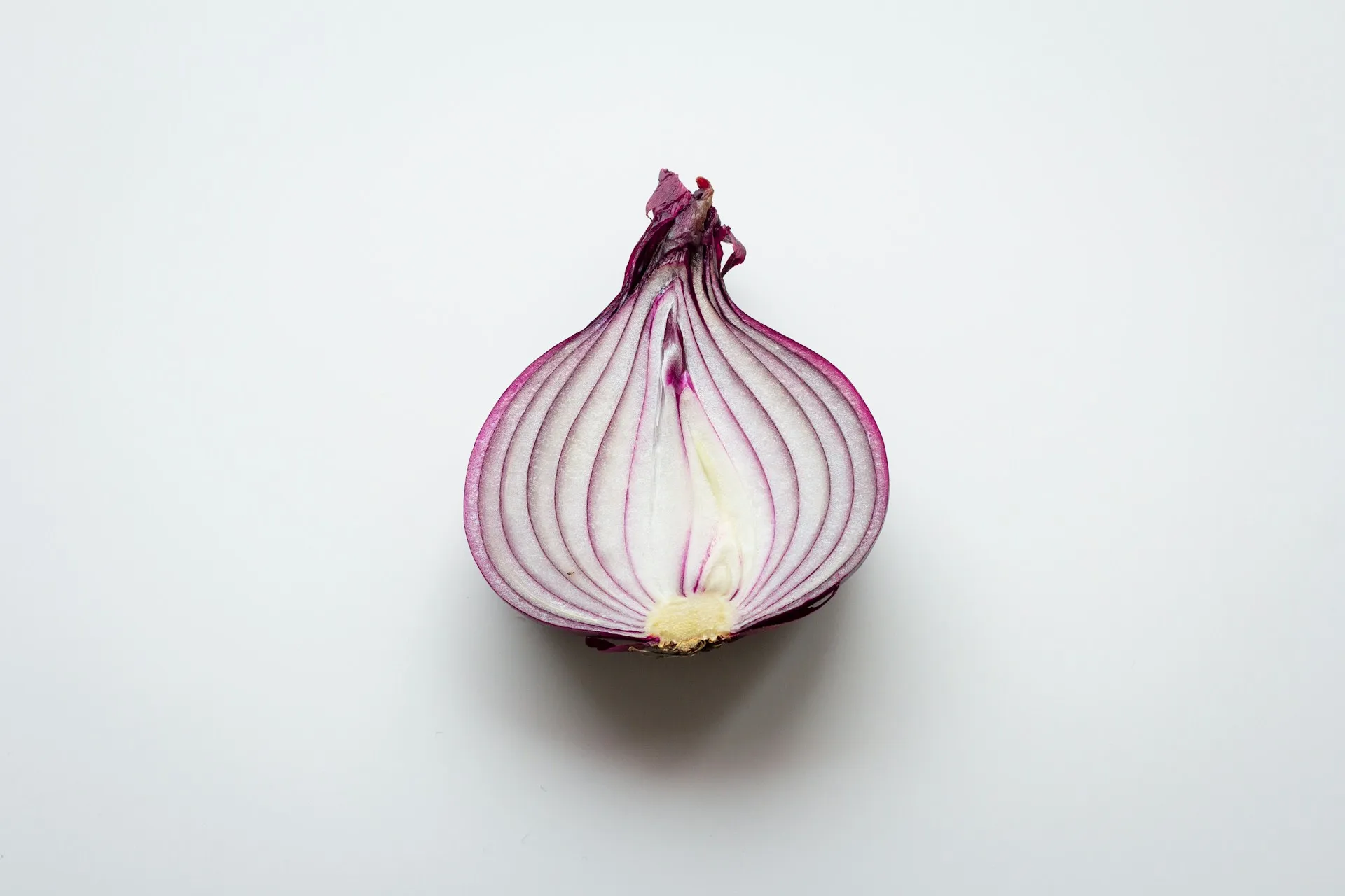 Irisan Bawang merah (credit: Unsplash)