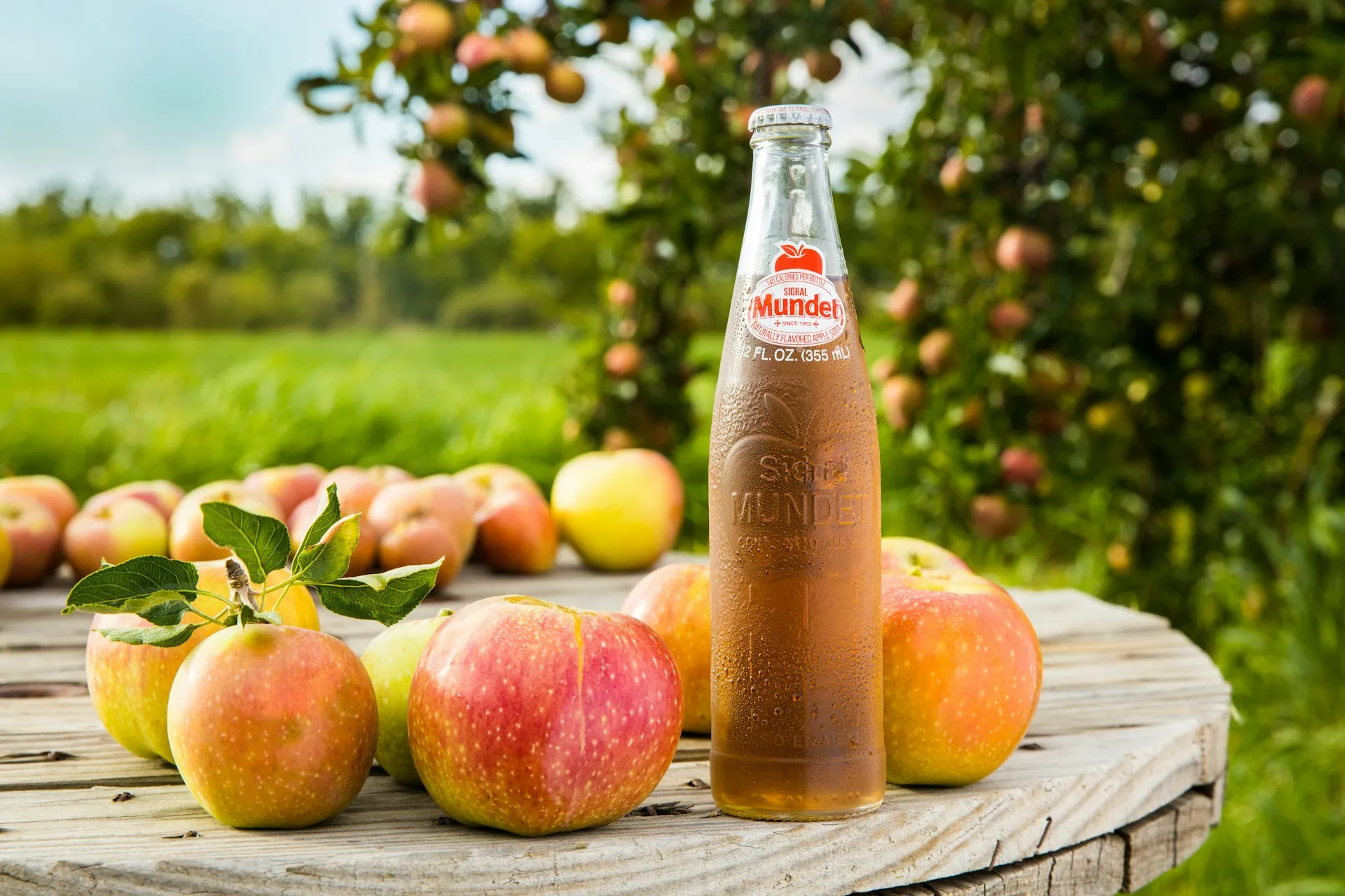 Potret sejumah buah apel dan botol (credit: Unsplash)