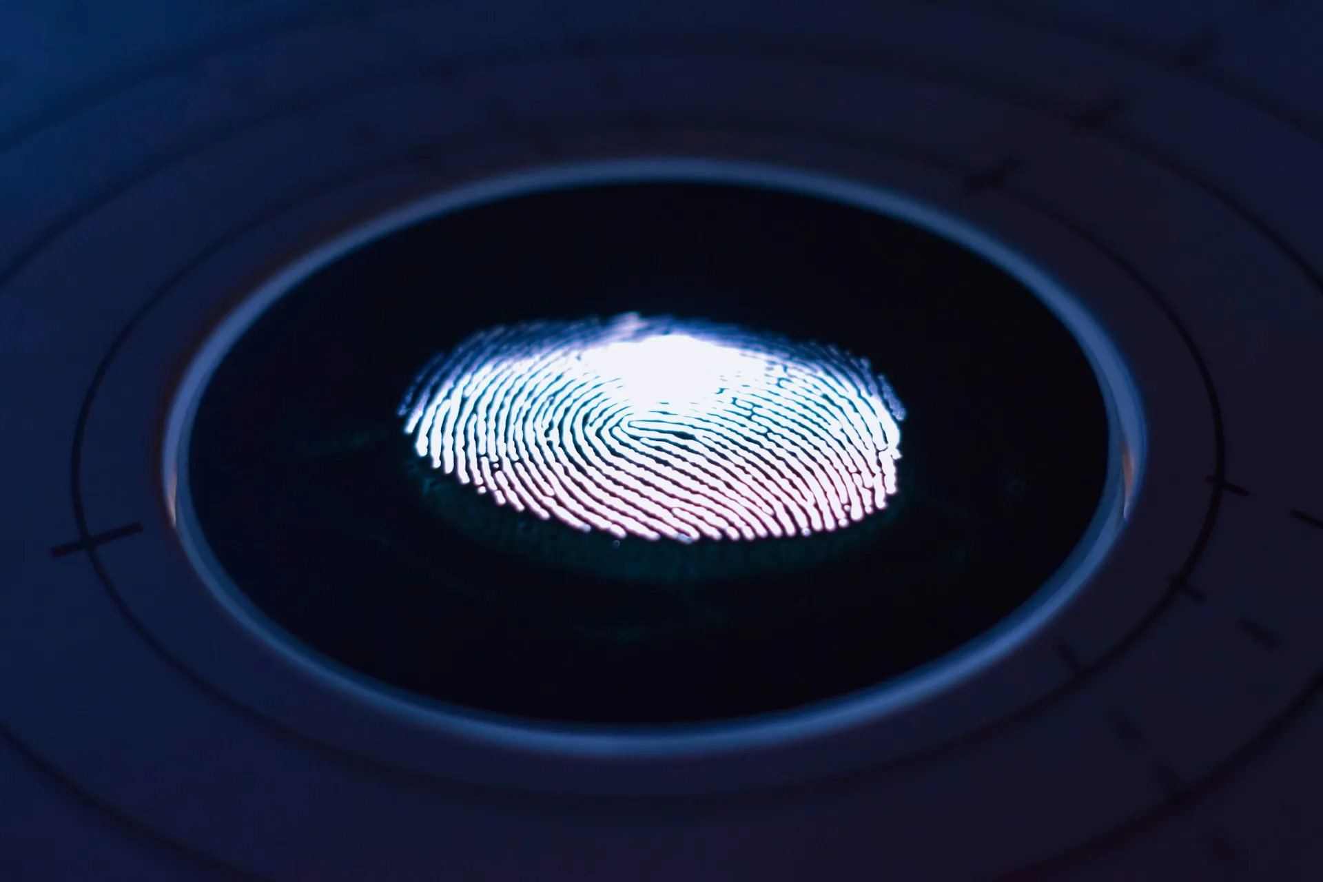 Cara Mengambil dan Mengelola Data dari Mesin Fingerprint (credit: unsplash)
