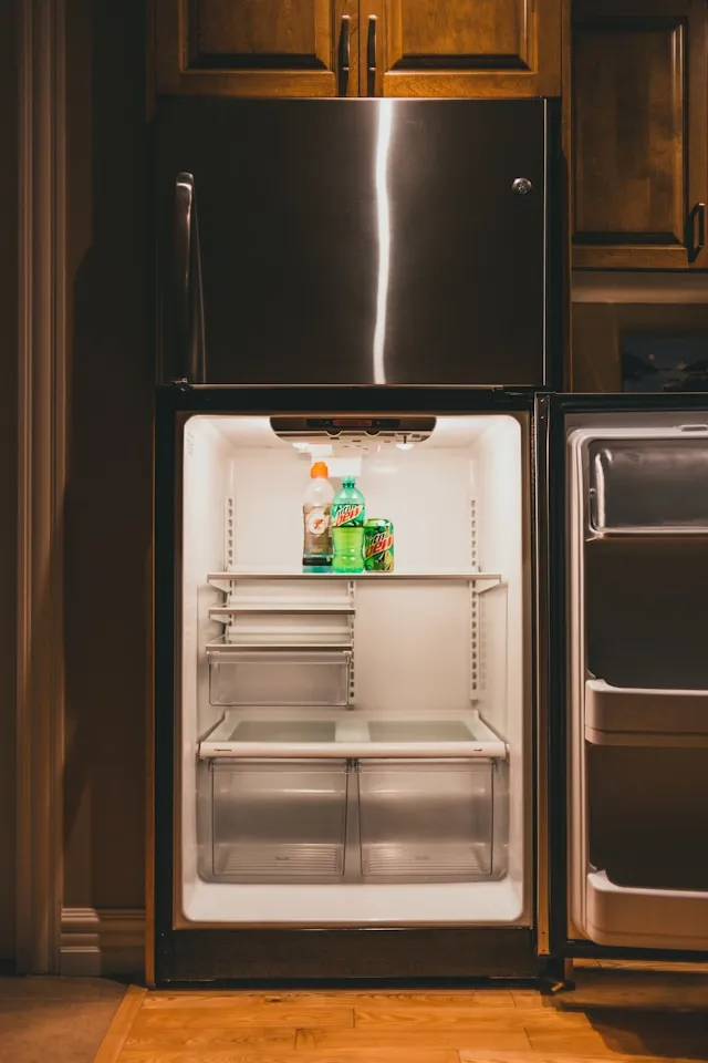 Cara Mengatur Suhu Kulkas LG untuk Performa Optimal (c) unsplash.com