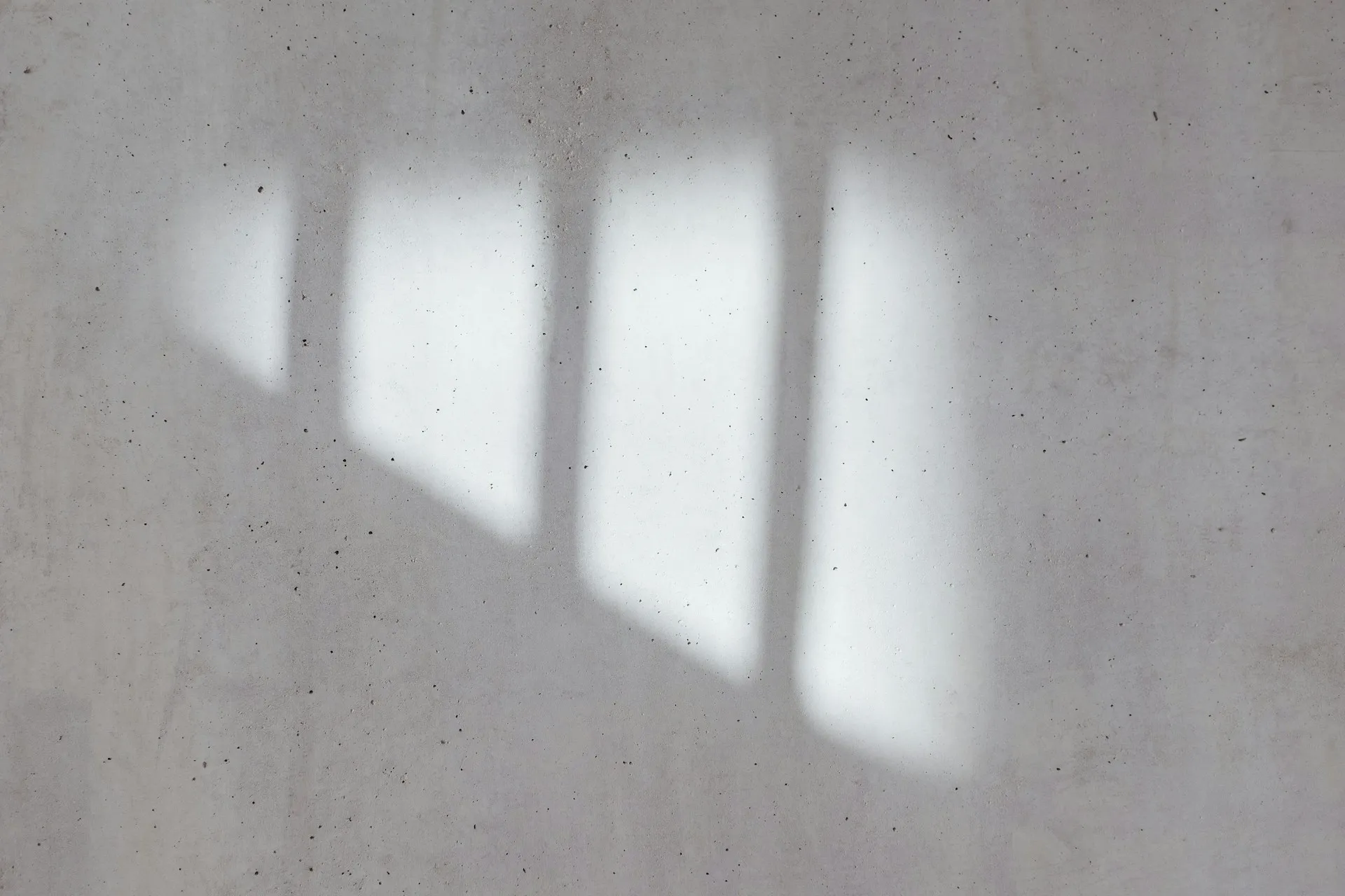 (credit: unsplash)