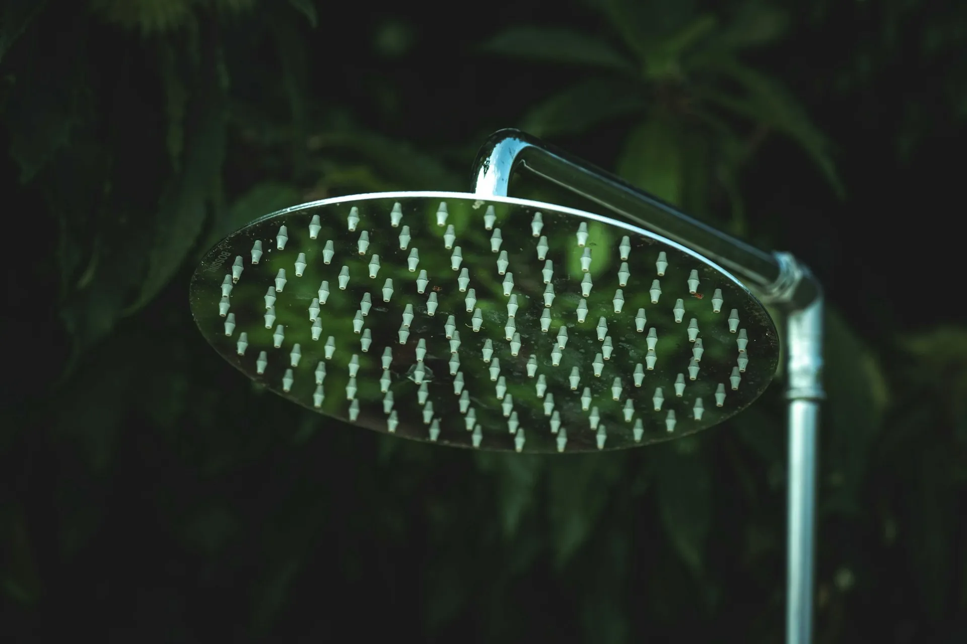 Potret close up shower (credit: Unsplash)
