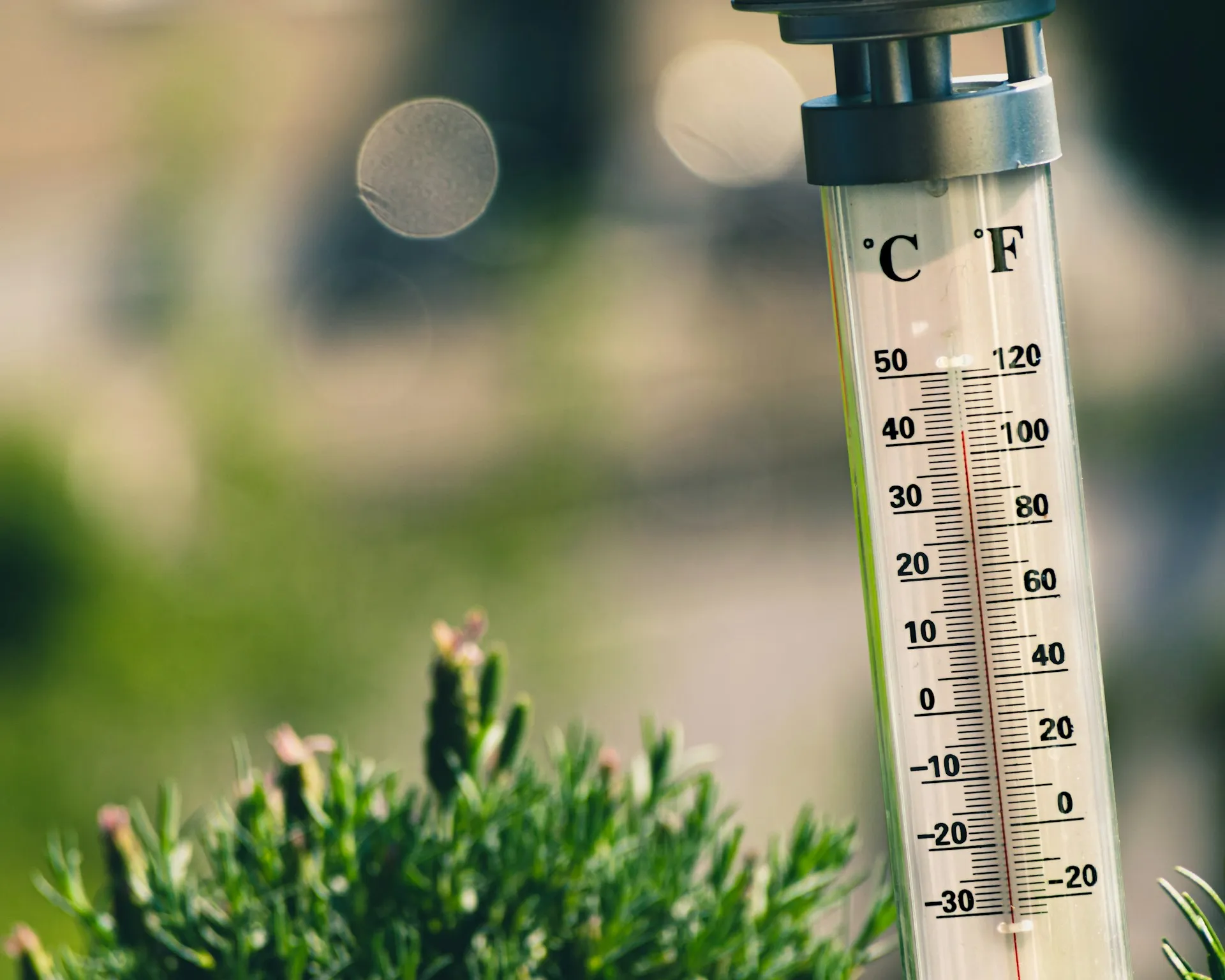 Suhu termometer (credit: Unsplash)