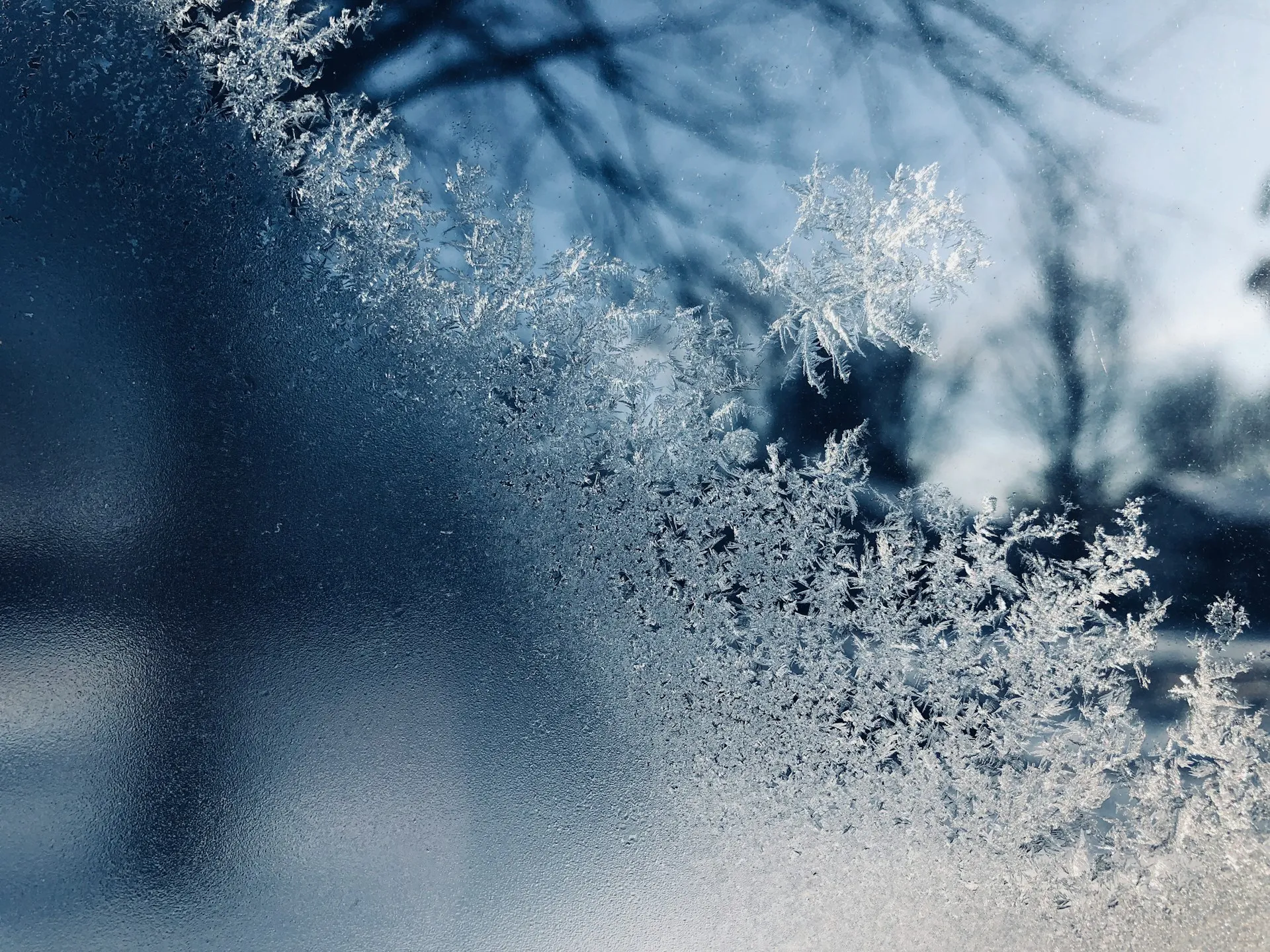 Keunggulan Kulkas Sharp dengan Fitur Semi Auto Defrost (credit: unsplash)