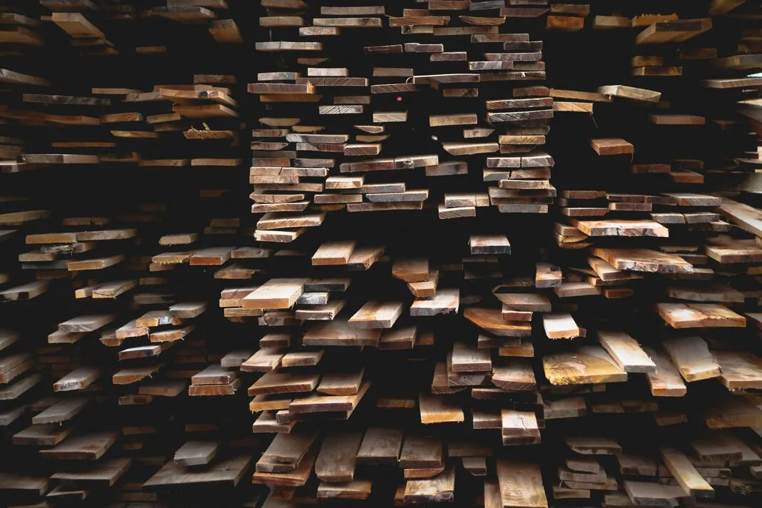 Pengertian Kubikasi Kayu (credit:unsplash.com/id/@alexjones)