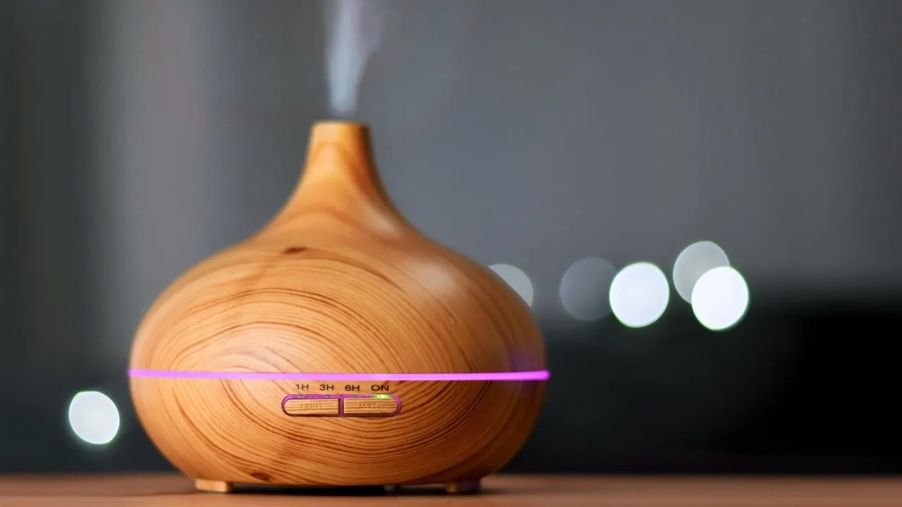 Gunakan Air Purifier. (Anke Sundermeier/Pixabay)
