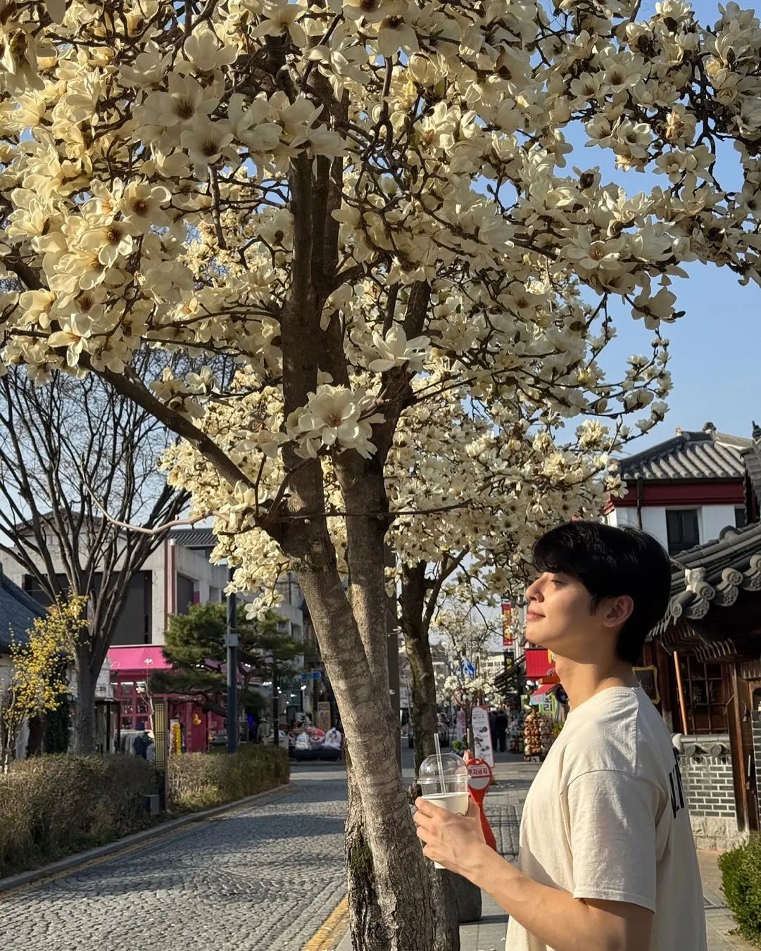Cha Eun Woo di bawah pohon sakura Â© instagram.com/eunwo.o_c