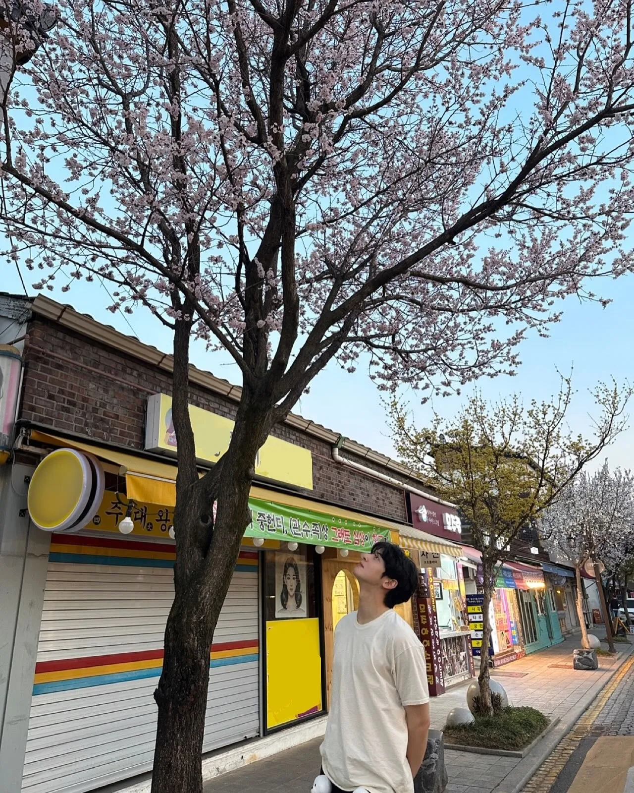 Cha Eun Woo melihat pohon Â© instagram.com/eunwo.o_c