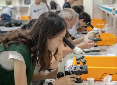 Sekolah Internasional di Asia (siskorea.org)