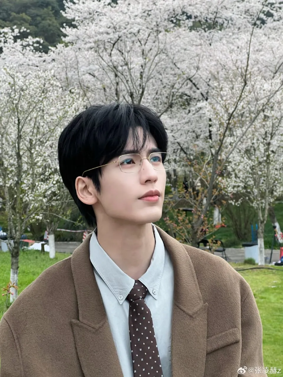 Zhang Linghe - weibo.com