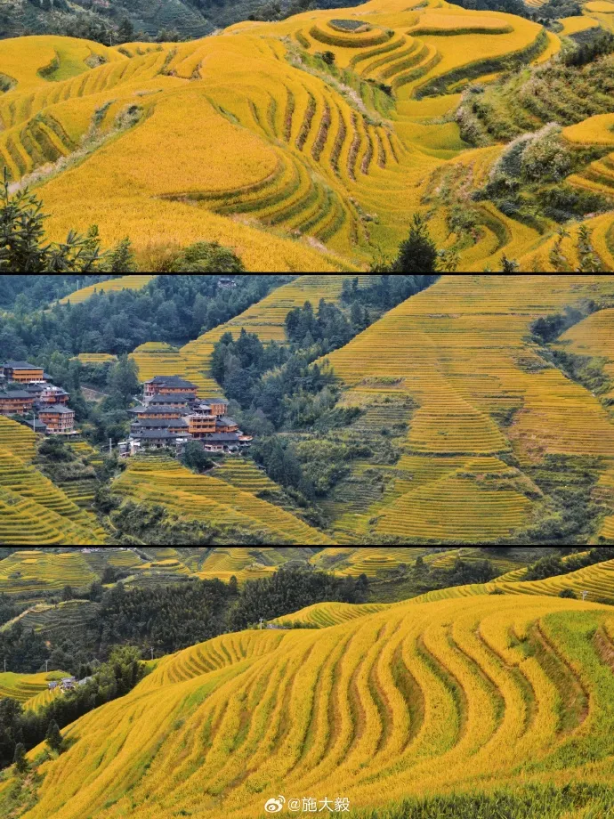 Pemandangan Sawah Terasering di Longji - copyright: weibo.com