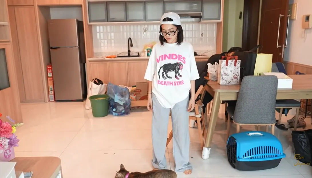 Youtube/Elsa Japasal