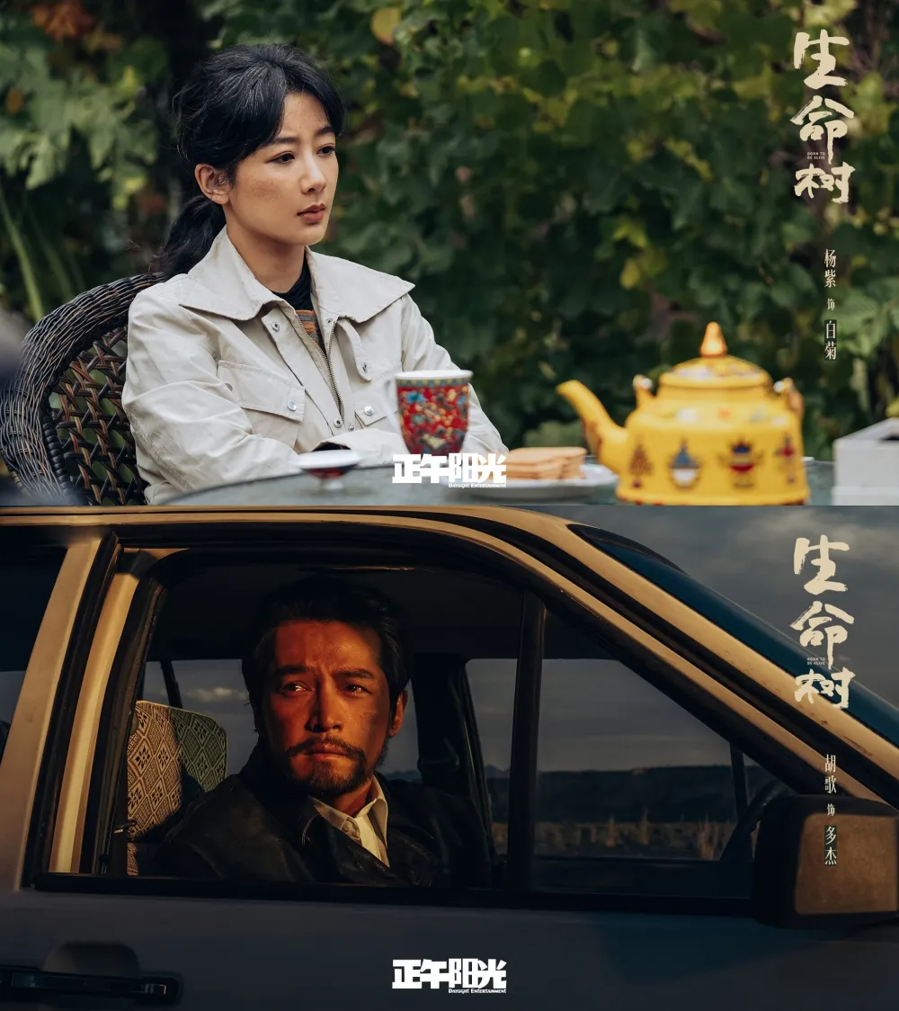 Born to Be Alive - copyright: weibo.com