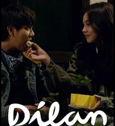 DILAN 1991